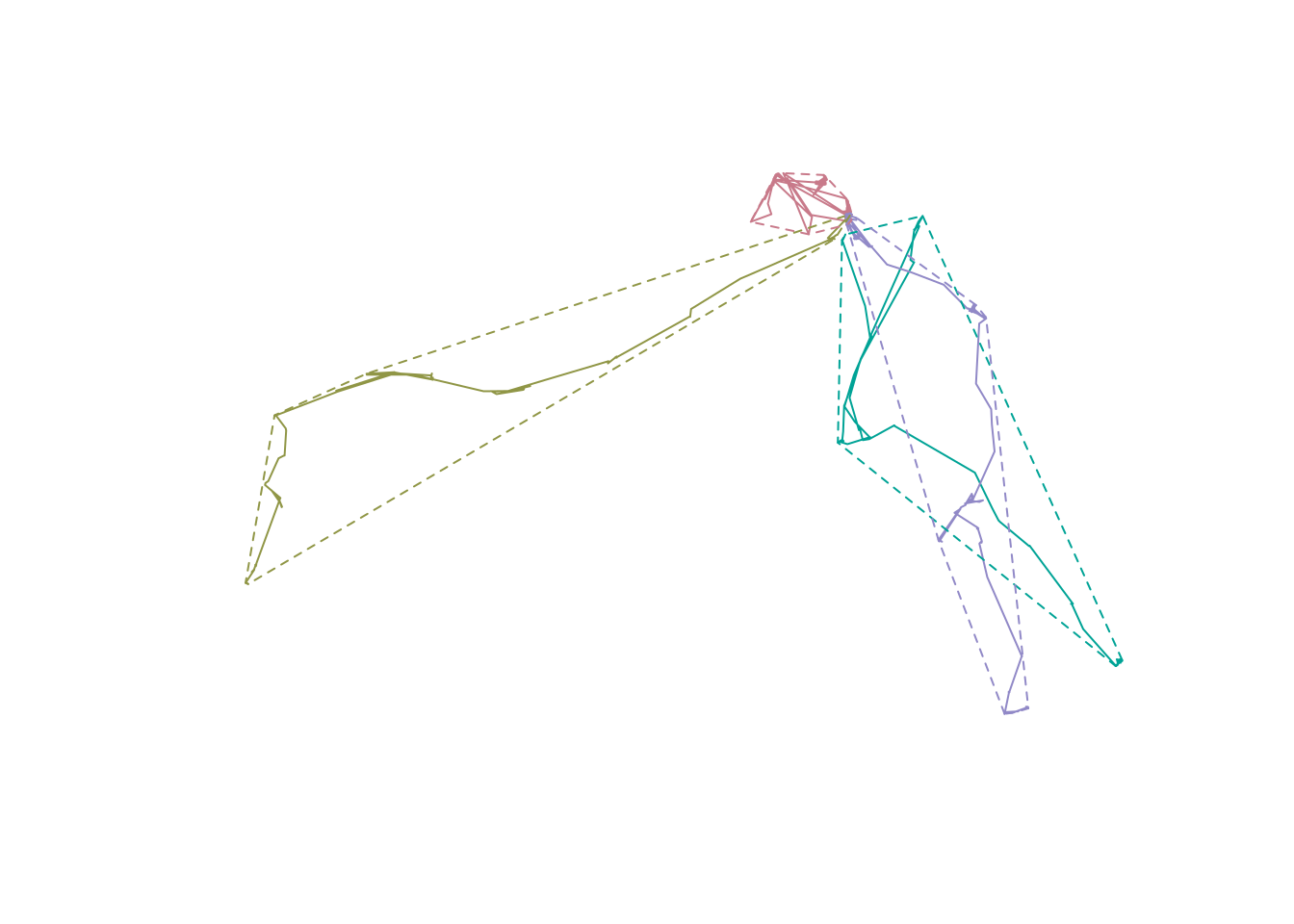 Trajectories and convex hull polygons of four elks