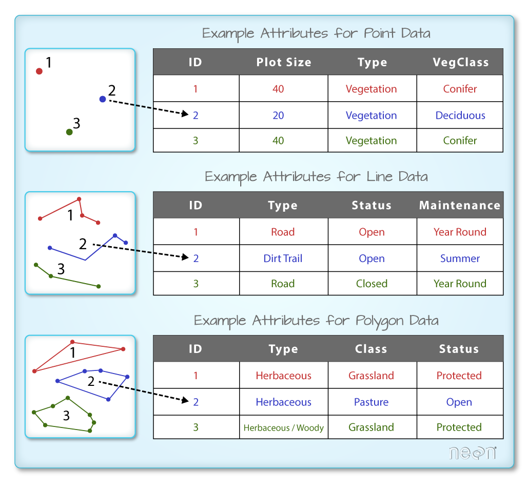 Geometry (left) and non-spatial attributes (right) of vector layers (https://www.neonscience.org/dc-shapefile-attributes-r)