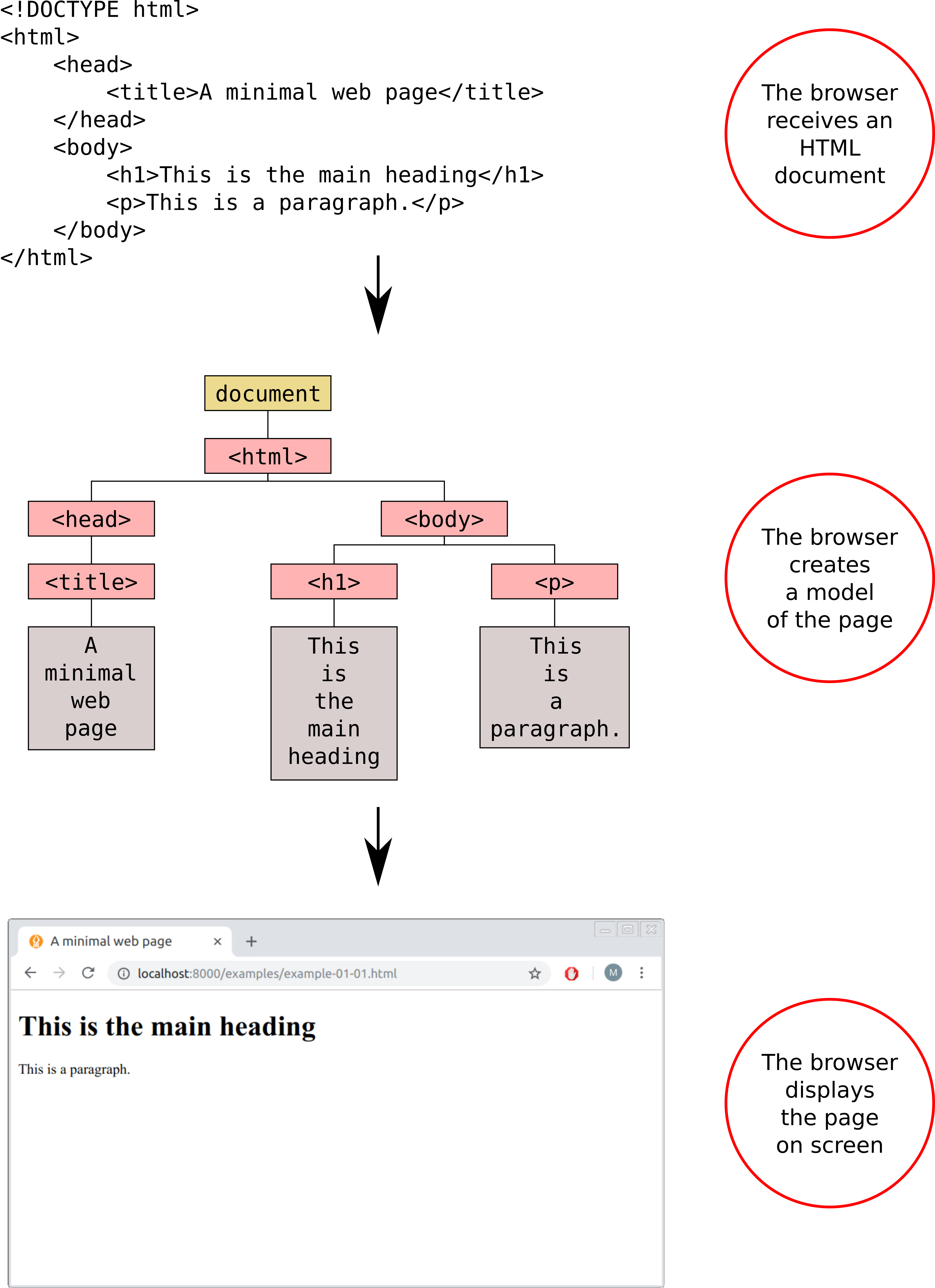 The Document Object Model (DOM) is a representation of an HTML document, constructed by the browser on page load\index{Document Object Model (DOM)}